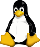 Removing Exif Data from an Image on Linux using exiftool